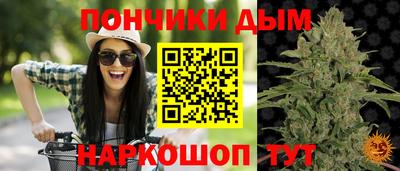 крисы Вышний Волочёк