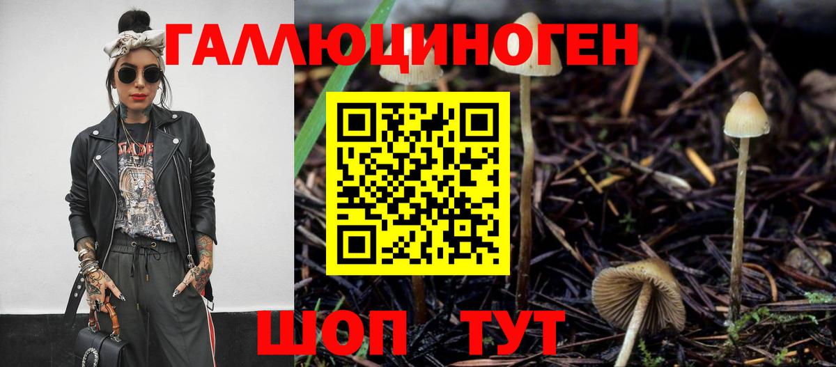 Галлюциногенные грибы Cubensis  Вход с VPN  Бахчисарай 