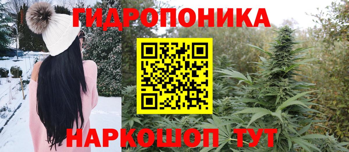 Канабис семена  Вход с VPN  Бахчисарай  Каннабис конопля 
